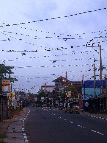 008%20Negombo%20Street.jpg