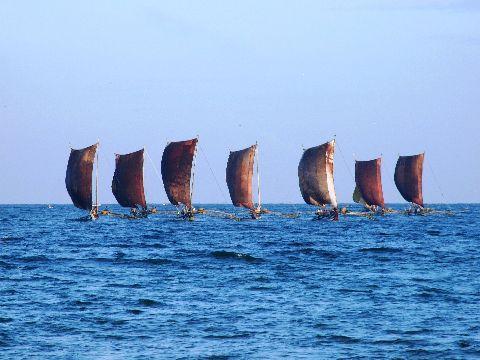 010%20Negombo%20Beach.jpg