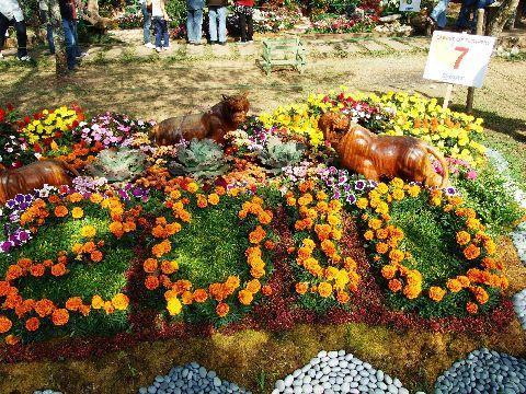 020%20Panagbenga%20Festival.jpg