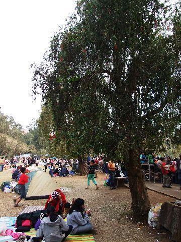 023%20Baguio%20City.jpg