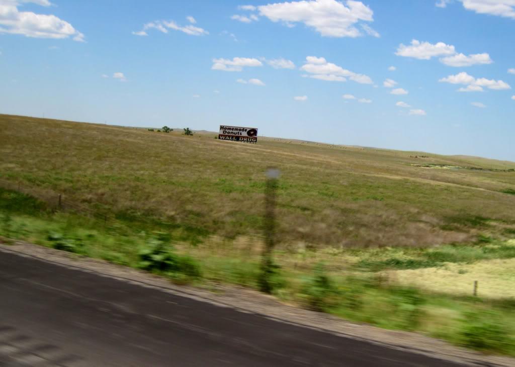 03cf5588.jpg