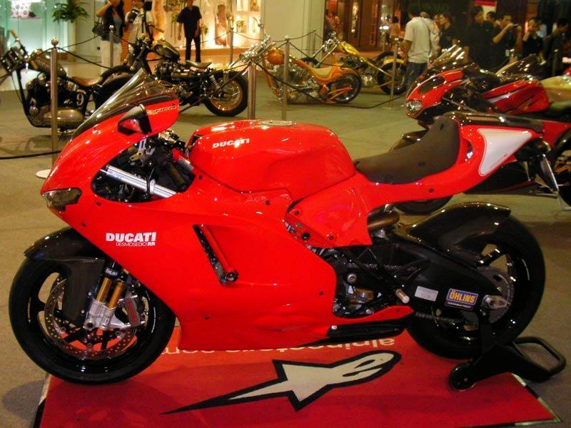 050309Duc.jpg