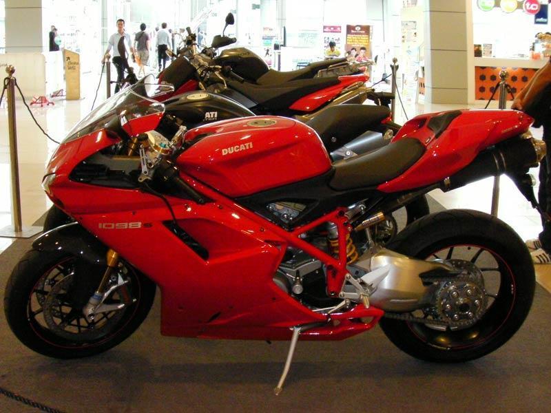 050309Duc1098.jpg