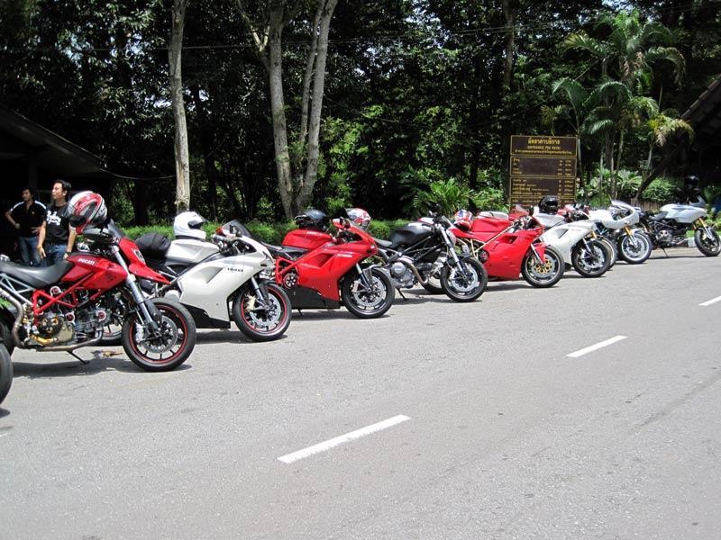 0816Dukes2.jpg