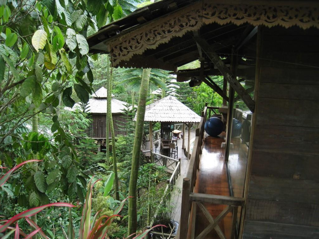 085_zpsf2b26d15.jpg