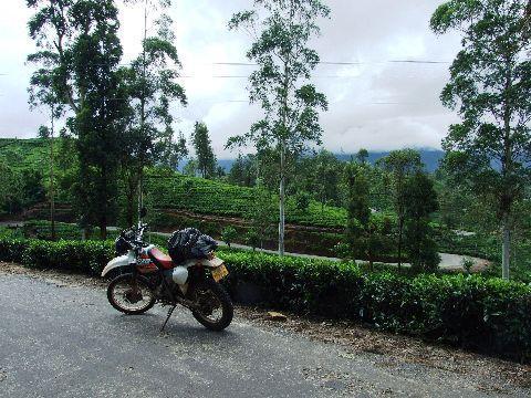 098%20Road%20to%20Nuwara%20Eliya.jpg