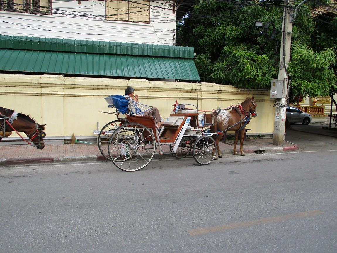 10-pin-hotel-lampang-4-horse-jpg.jpg