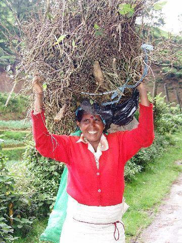 100%20Road%20to%20Nuwara%20Eliya.jpg