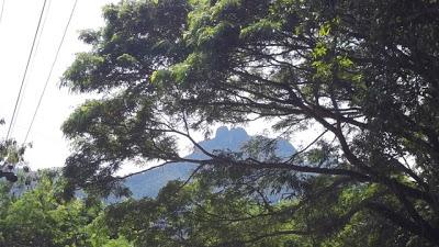 100_0507.jpg