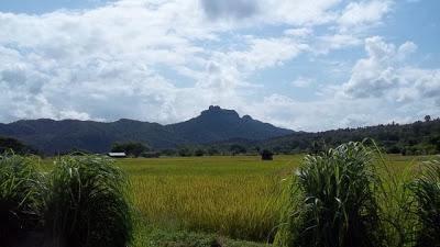 100_0509.jpg