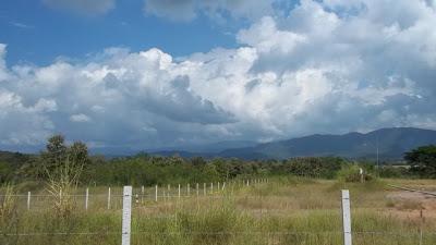 100_0546.jpg