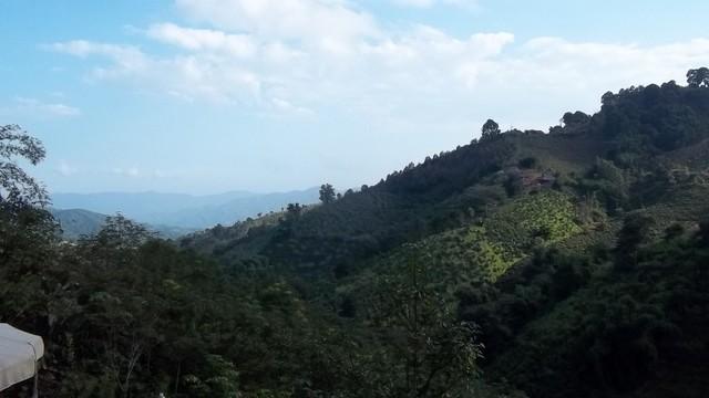 100_0566.jpg