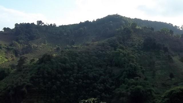 100_0567.jpg