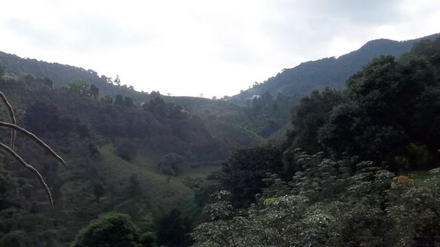 100_0568.jpg
