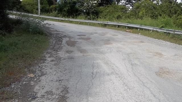 100_0662.jpg