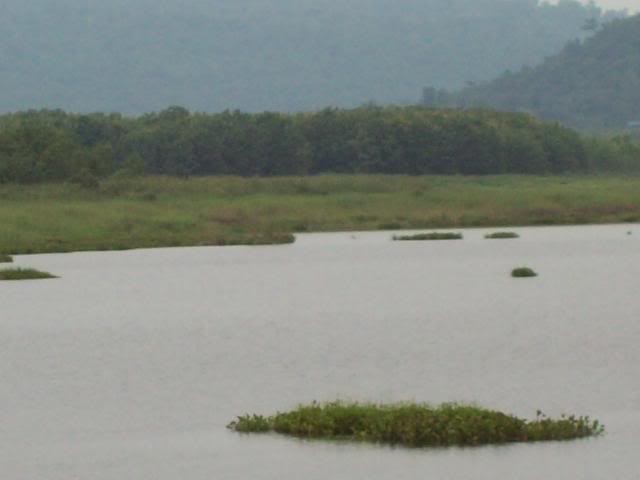 100_0662.jpg