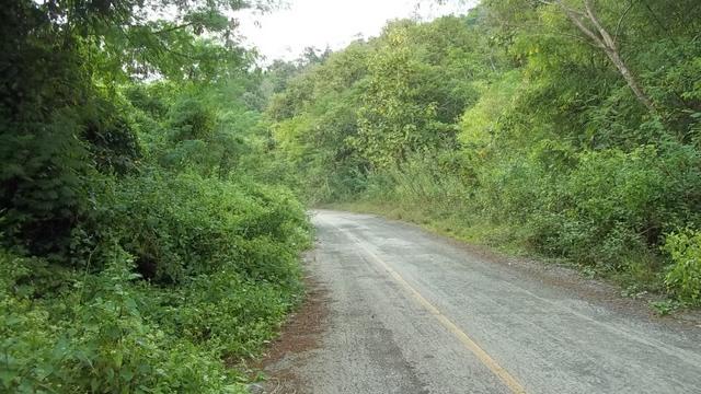 100_0675.jpg
