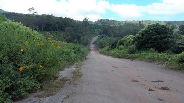 100_0681.jpg
