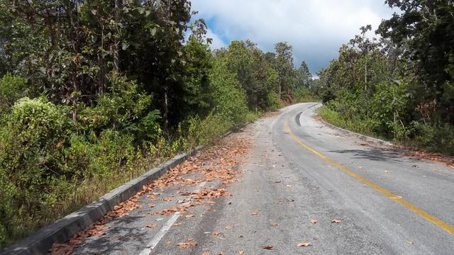 100_0683.jpg