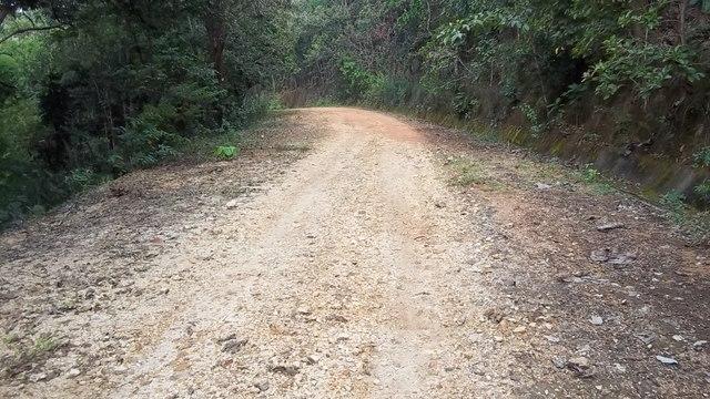 100_0685.jpg