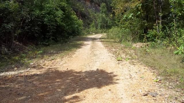 100_0687.jpg