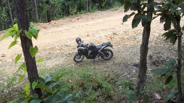 100_0693.jpg