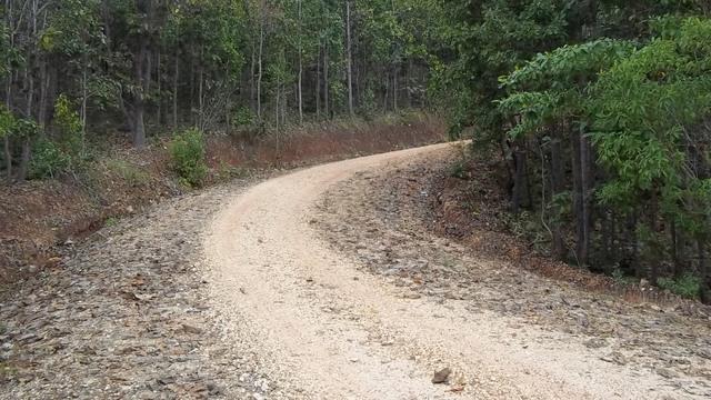 100_0694.jpg