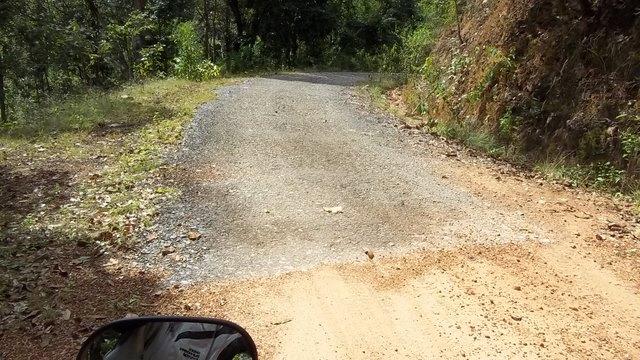 100_0698.jpg