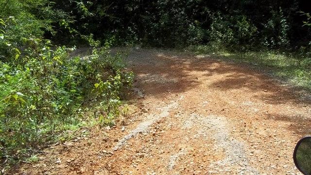 100_0699.jpg