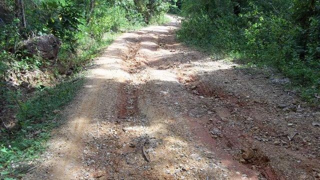 100_0700.jpg