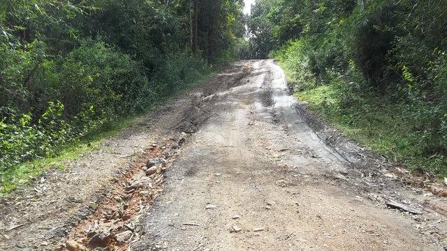 100_0702.jpg