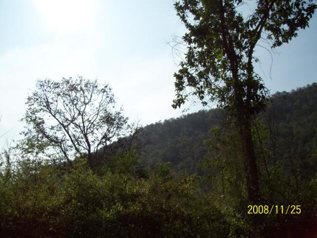 100_1075-1.jpg