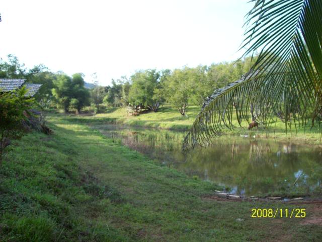100_1083.jpg