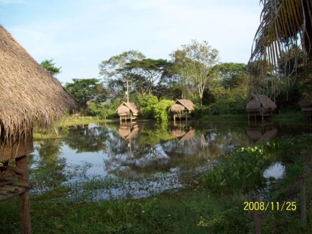 100_1084.jpg