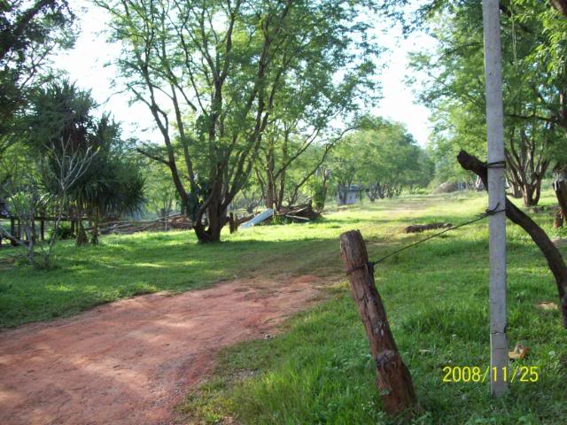 100_1086.jpg