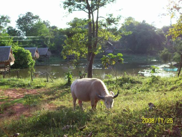 100_1087.jpg
