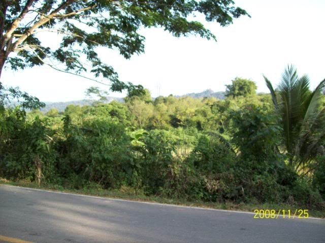 100_1089.jpg