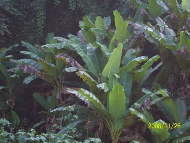 100_1117.jpg