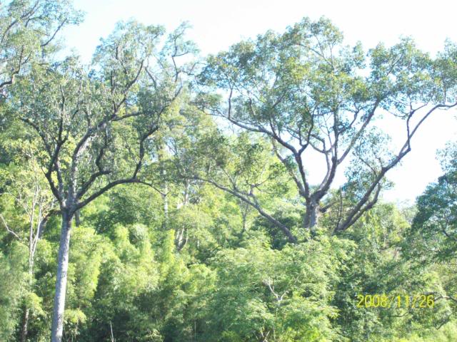 100_1120.jpg