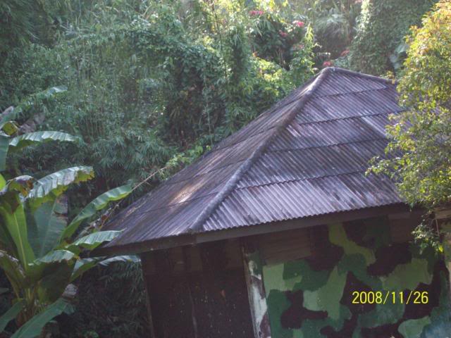 100_1121.jpg