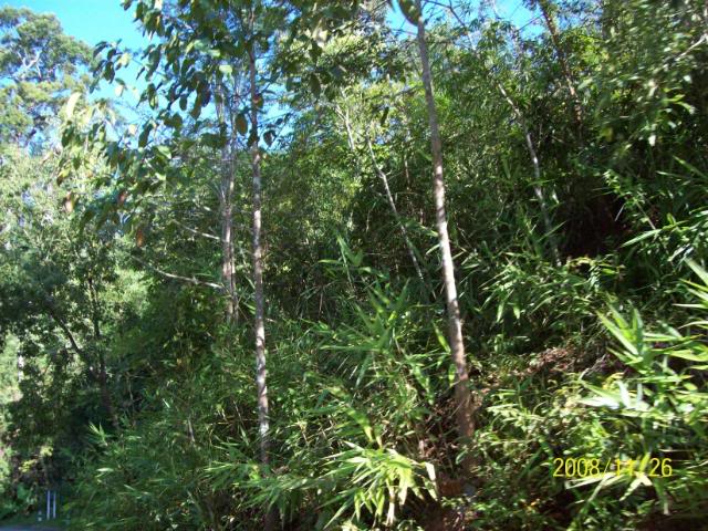 100_1123.jpg