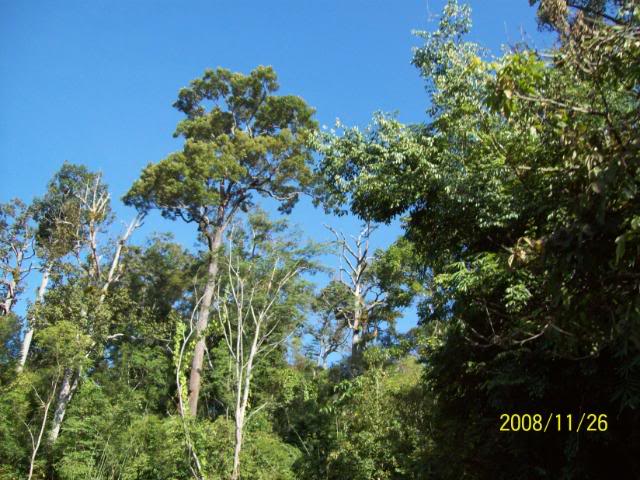 100_1124.jpg