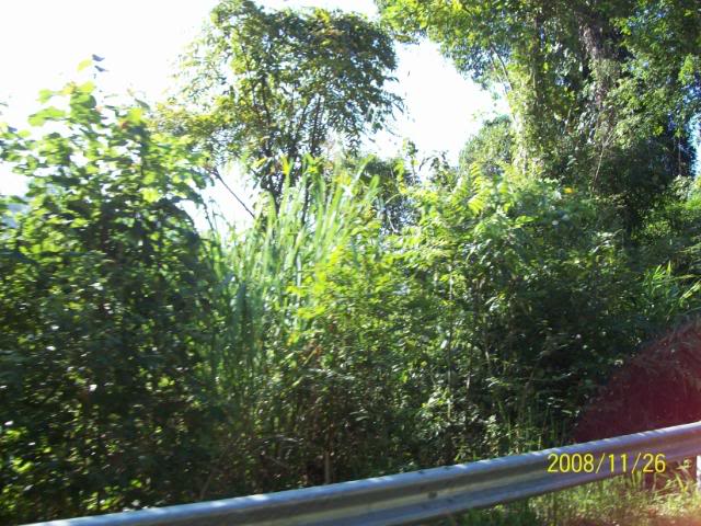 100_1125.jpg