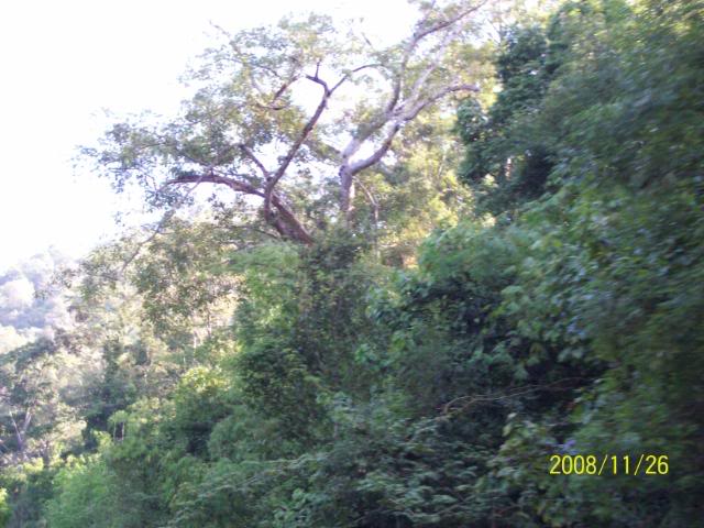 100_1129.jpg