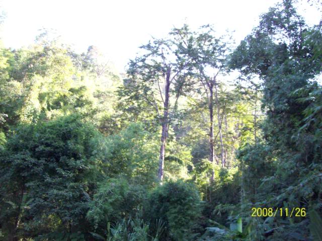 100_1130.jpg