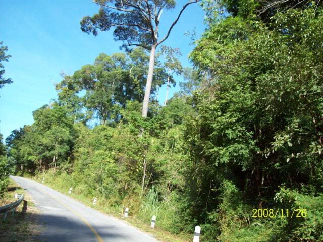 100_1131.jpg