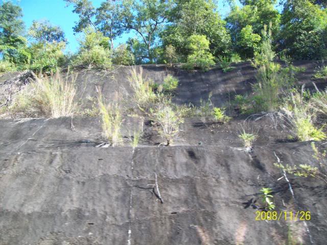100_1133.jpg