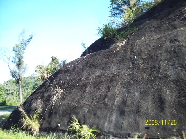 100_1134.jpg