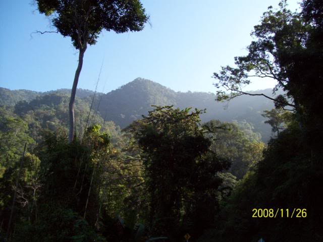 100_1135.jpg