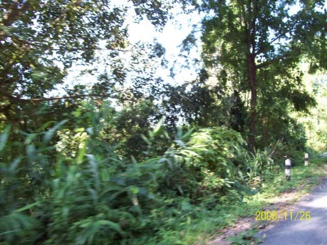100_1137.jpg